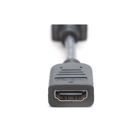 Digitus | DisplayPort Adapter/Converter | AK-340400-001-S