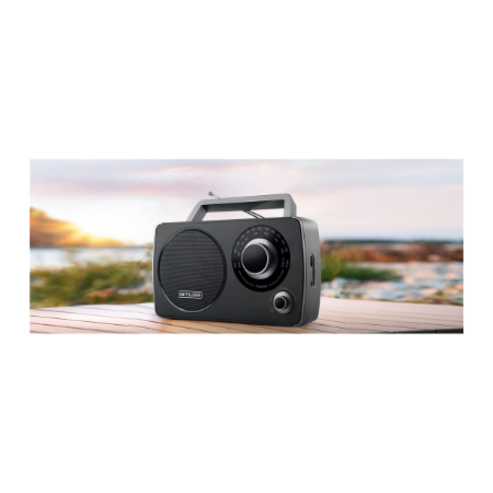 Muse | Portable Radio | M-075 R | AUX in