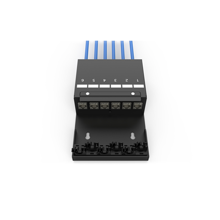Digitus Consolidation point box, 6-port Keystone modules with intelligent cable manager | DN-93708-6