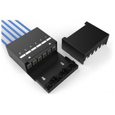Digitus Consolidation point box, 6-port Keystone modules with intelligent cable manager | DN-93708-6