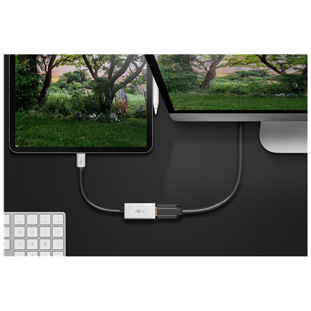 Goobay USB-C Adapter to HDMI | 60194