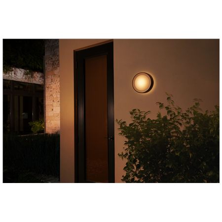 Philips Hue WCA Daylo Outdoor Wall Lantern, Black | 15 W | 2000-6500 Hue White Colour Ambiance