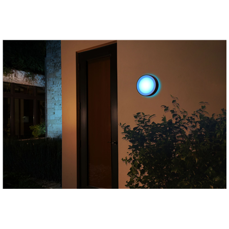 Philips Hue WCA Daylo Outdoor Wall Lantern, Black | 15 W | 2000-6500 Hue White Colour Ambiance