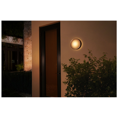 Philips Hue WCA Daylo Outdoor Wall Lantern, Inox | 15 W | 2000-6500 Hue White Colour Ambiance