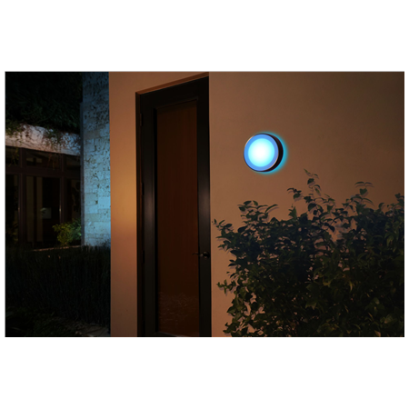 Philips Hue WCA Daylo Outdoor Wall Lantern, Inox | 15 W | 2000-6500 Hue White Colour Ambiance