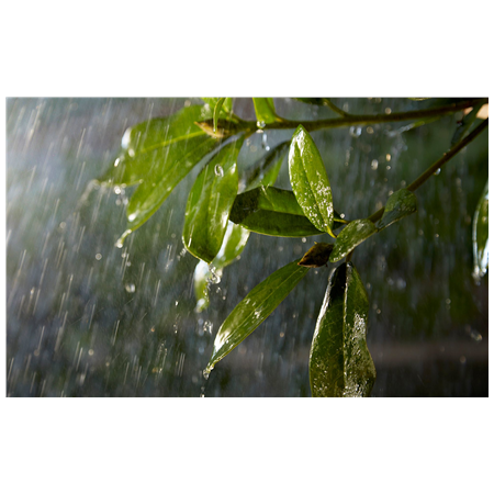 Philips Hue Outdoor 24V Cable Extension, 5m