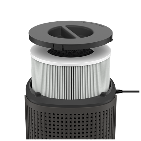 Duux Smart Air Purifier | Bright 2 | 4-22 W | Suitable for rooms up to 42 m² | Black