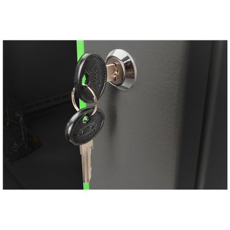 Digitus Wall Mounting Cabinet | DN-19 09-U-EC-SW | Black