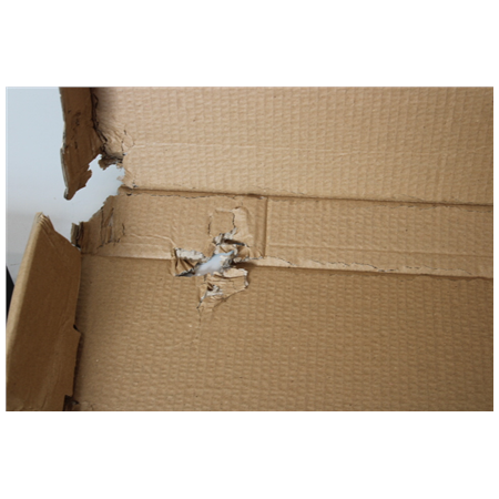 SALE OUT. Digitus Extendible Shelf for 483 mm Cabinets | DN-19 TRAY-2-1000SW | DAMAGED PACKAGING, SCRATCHED, DENT CORNER | Black