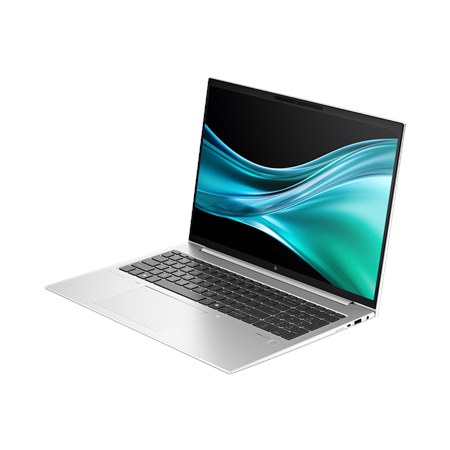 HP | EliteBook 865 G11 | 16 " | WUXGA | 1920 x 1200 | AMD Ryzen 5 | 8540U | 16 GB | DDR5 | Solid-state drive capacity 512 GB | A