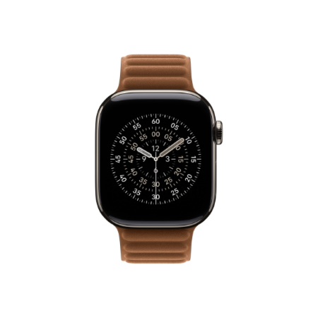 Apple | 42mm Caramel Magnetic Link - M/L | Brown