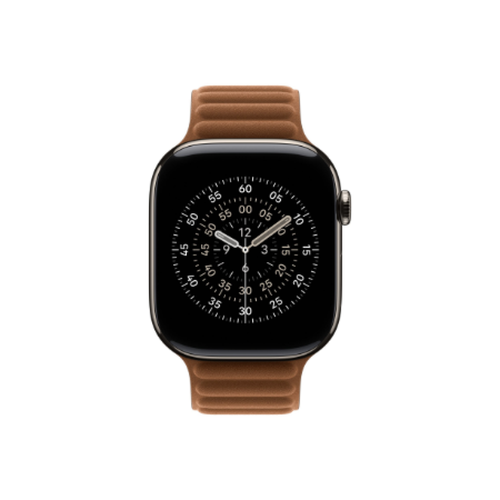 Apple 46mm Caramel Magnetic Link - M/L | Apple