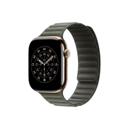 Apple 46mm Sage Gray Magnetic Link - S/M | Apple