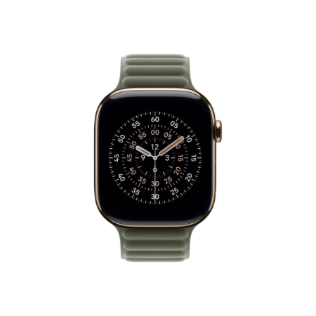 Apple 46mm Sage Gray Magnetic Link - S/M | Apple