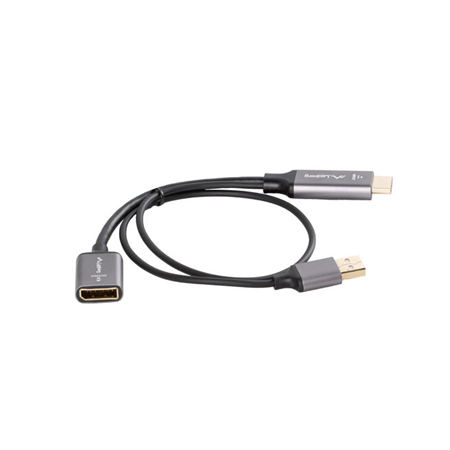 Lanberg HDMI (M) to Displayport (F) Adapter 4K on cable 20cm, Silver | AD-HD-DP-02