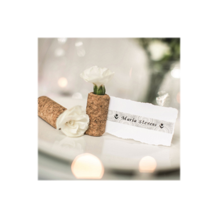 Brother | TZe-MPSL31 | Black on Silver Lace Pattered | TZe