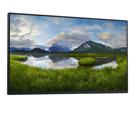 DELL Pro Plus P2425HE_WOST 61 cm (24") kompiuterio monitorius
