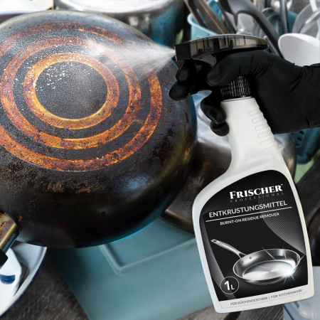 Frischer nudegimų šalinimo priemonė 1l