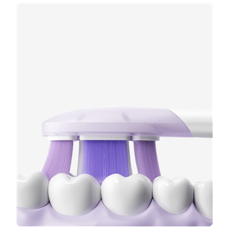 Xiaomi | Oscillation Electric Toothbrush Replacement Heads (Soft), 3 pcs