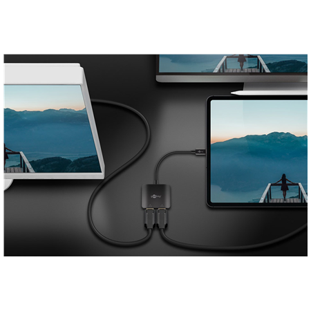 Goobay USB-C Adapter to 2x DisplayPort | 60171