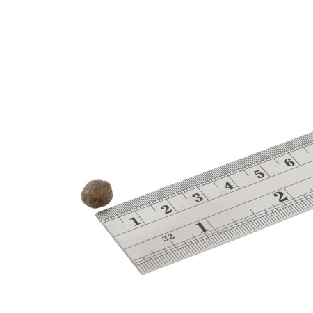 FISH4DOGS Aukščiausios klasės lašišų maistas suaugusiems šunims 6kg