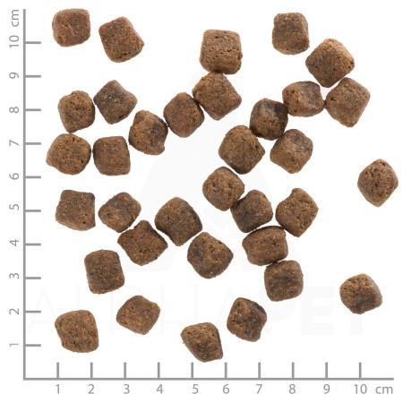 WOLFSBLUT Black Bird Turkey - sausas maistas šunims - 12,5 kg