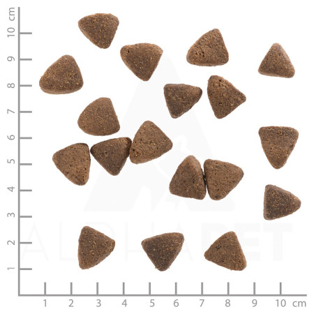 WOLFSBLUT Wide Plain Lengvas Arklys su saldžiosiomis bulvėmis - sausas maistas šunims - 12,5kg