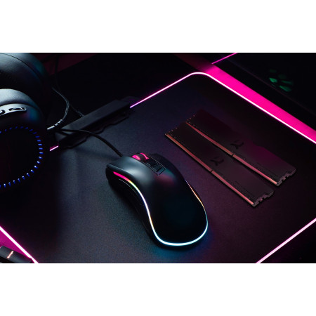 Goodram IRDM PRO 32GB (2 x 16GB) DDR4 3600MHz atminties modulis