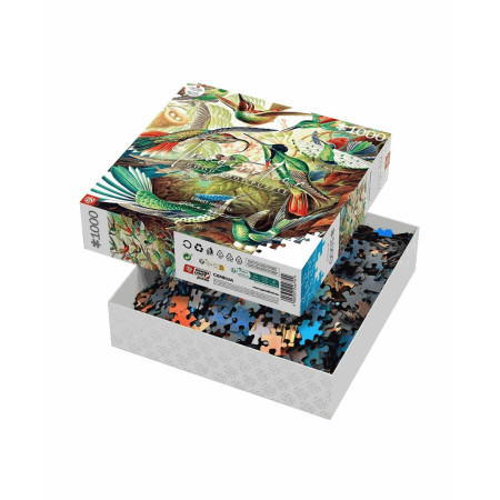 Vaizduotės dėlionė: Ernstas Haeckelis Kolibriai (1000 elementų)