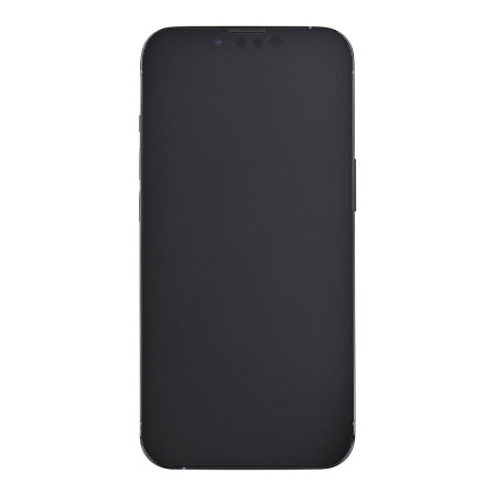 Apple iPhone 13 Pro 256 GB Starlight (atnaujintas)