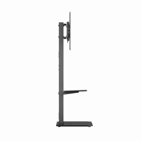 Gembird TVS-86ST-01 televizoriaus stovas, 43" - 86", juodas