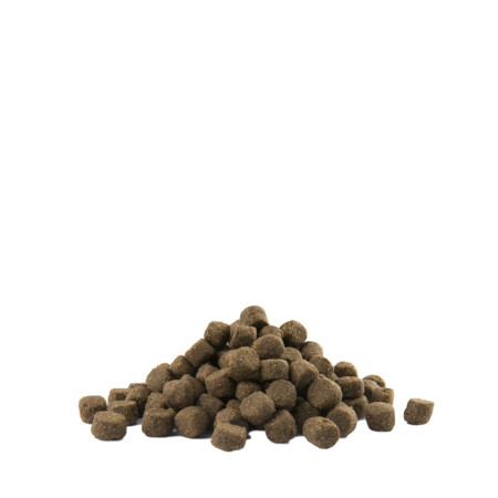 Versele-Laga Adult Digestion Medium & Maxi 12,5 kg Suaugusiųjų