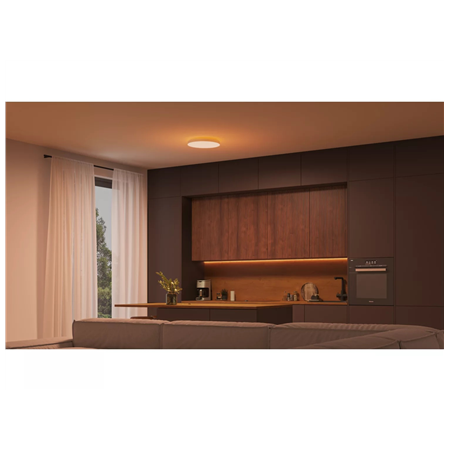 Philips Hue Datura Ceiling Light Small 38.4cm | 48 W