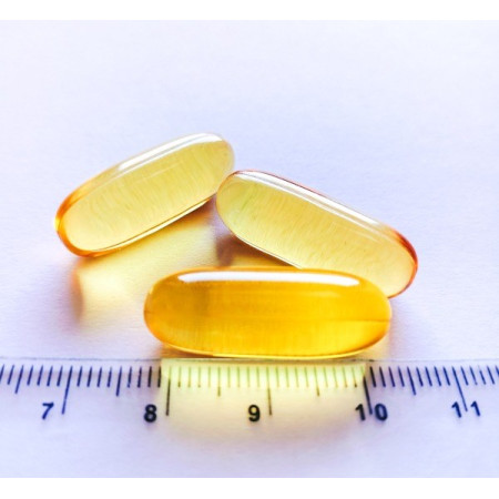 GAME DOG Omega-3 - papildai šunims - 60 tablečių