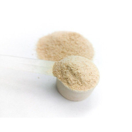 GAME DOG AniFlexi Fit V2 - papildai šunims - 100 tablečių