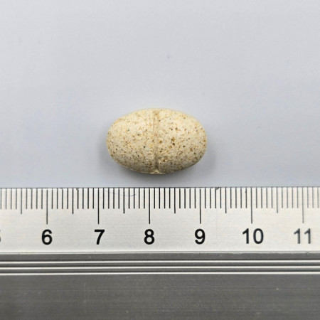 GAME DOG AniFlexi Marine V2 - papildai šunims - 80 tablečių