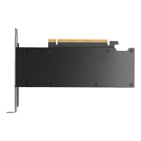 NVIDIA PNY RTX PRO 2000 Blackwell - 16 GB GDDR7 vaizdo plokštė