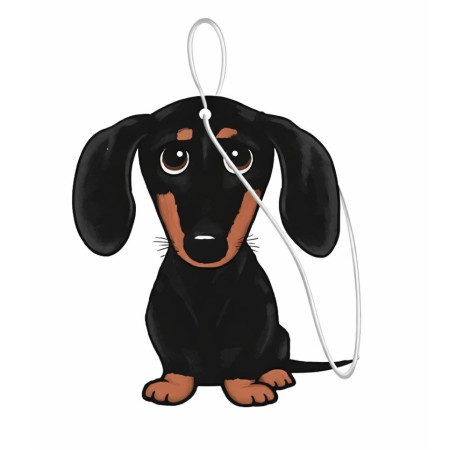 PAKA ZWIERZAKA -  automobilio oro gaiviklis