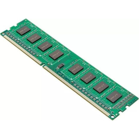 PNY DDR3 8 GB 1600 MHz CL11 atminties modulis
