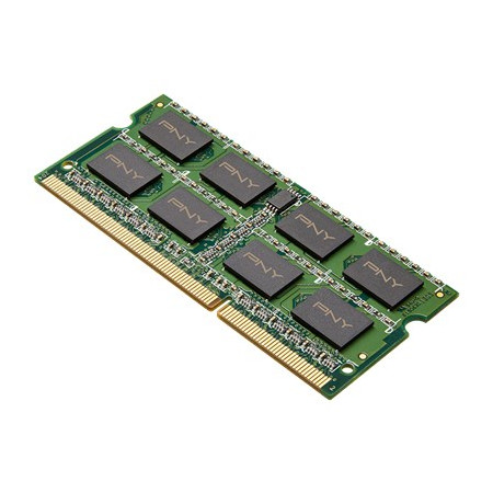 PNY 8GB DDR3 1600MHz atminties modulis 1 x 8 GB