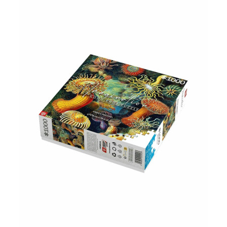 Vaizduotės dėlionė: Ernstas Haeckelis Jūrų būtybės 1000 elementų