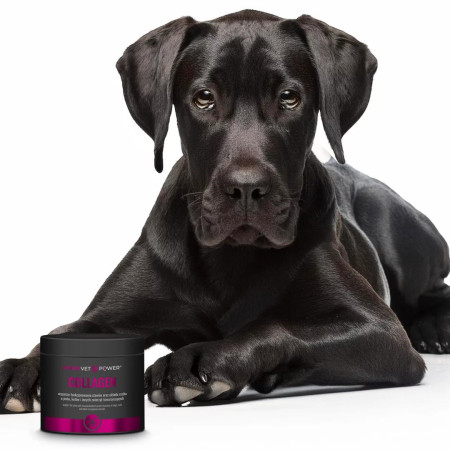 JM SANTE Monovet Power Collagen - papildai šunims ir katėms - 120g