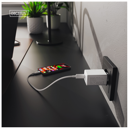 Digitus Battery charger, 30W | DA-10301