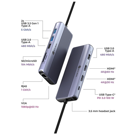 Raidsonic Icy Box Travel Dock 12-in-1, 3x video output (2x HDMI + 1x VGA) | IB-DK4062-CPD