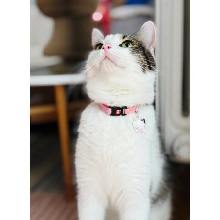 ZOLUX Obroża dla kota z zawieszką w kształcie kota CHATOUILLE różowa