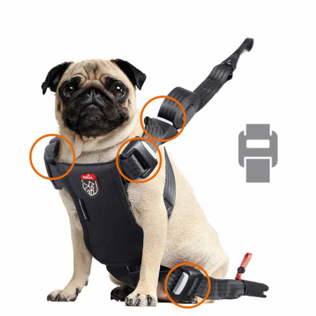 ZOLUX Szelki dla psa TRAVEL SAFE S czerwone