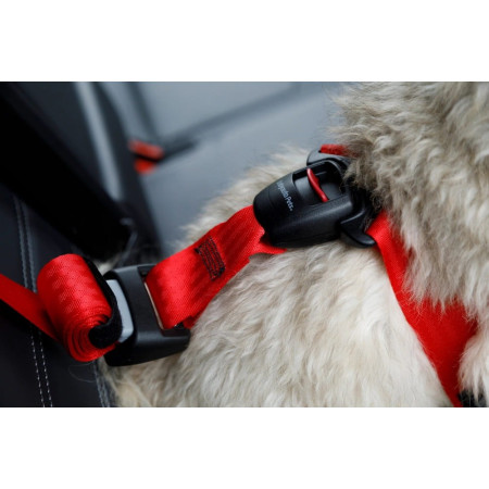 ZOLUX Szelki dla psa TRAVEL SAFE S czerwone