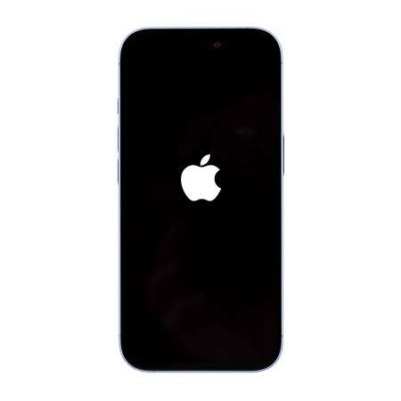 Apple iPhone 17 16 cm (6.3") Dviguba SIM jungtis iOS 26 5G C tipo USB 256 GB Mėlyna