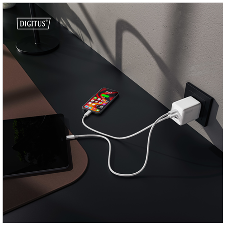 Digitus Battery charger, 100W | DA-10304