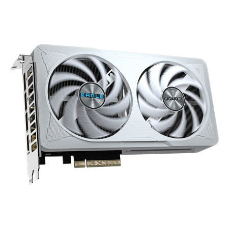 GIGABYTE GeForce RTX 5060 EAGLE OC ICE 8G vaizdo plokštė